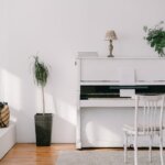 potted plant beside a white piano